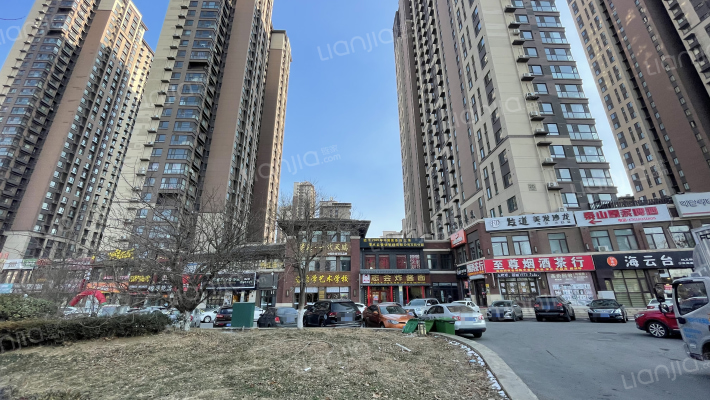 万科安置小区外景图