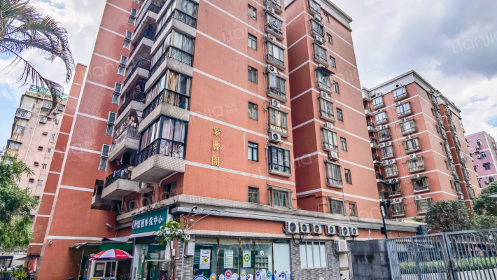 金兴花园外景图