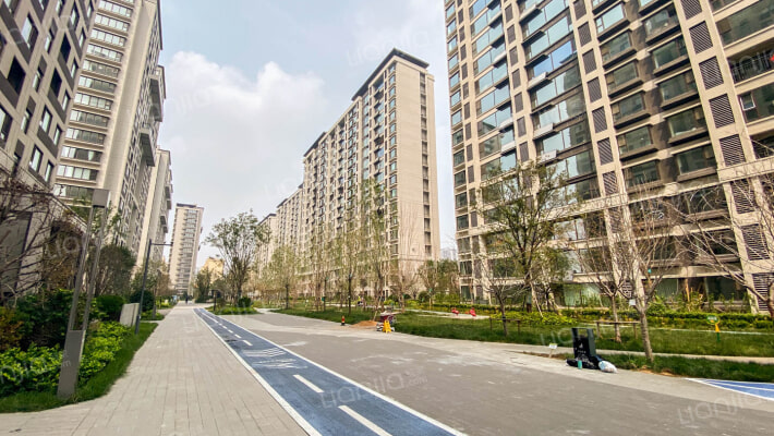 泽信天著外景图