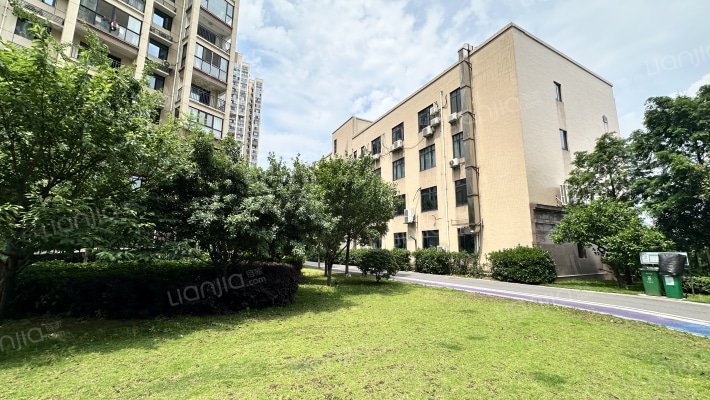 幸福考拉789外景图