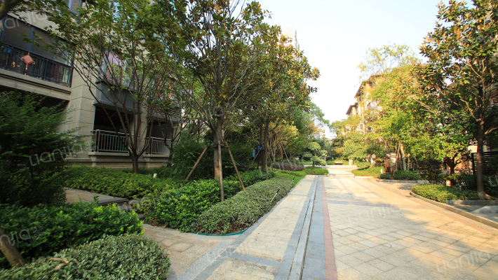 恒大御景天下一期外景图