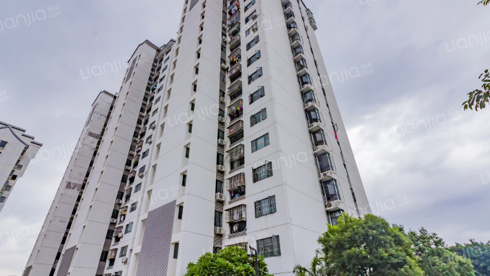 金山湖国墅园外景图