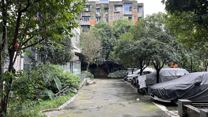 金鹏雅舍外景图