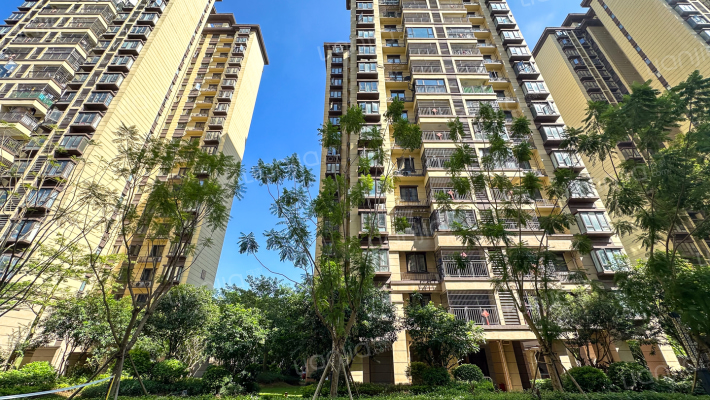 中梁·国宾熙岸外景图