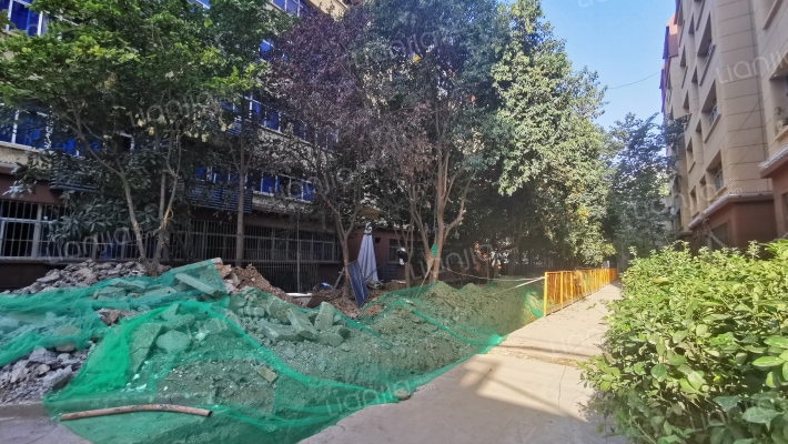 西安市中心血站职工家属院外景图