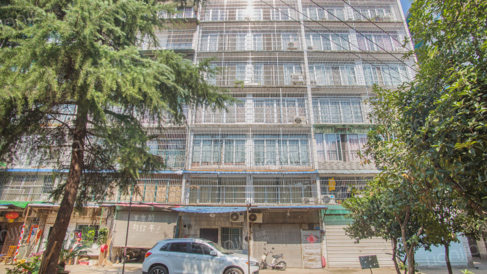 青年路206号外景图