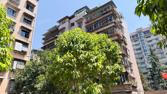 福建大街49号外景图