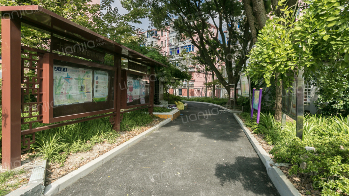 石化十三村(金山)外景图