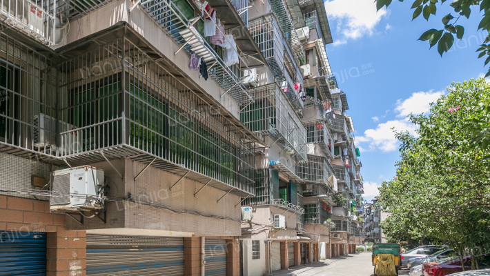 龙珠花园东区外景图