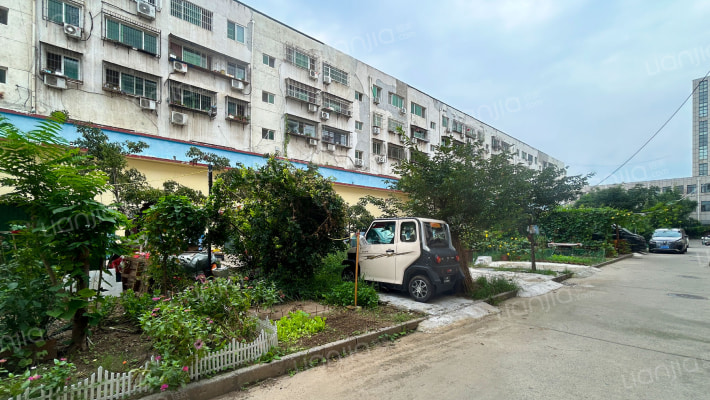 光明东道11号外景图