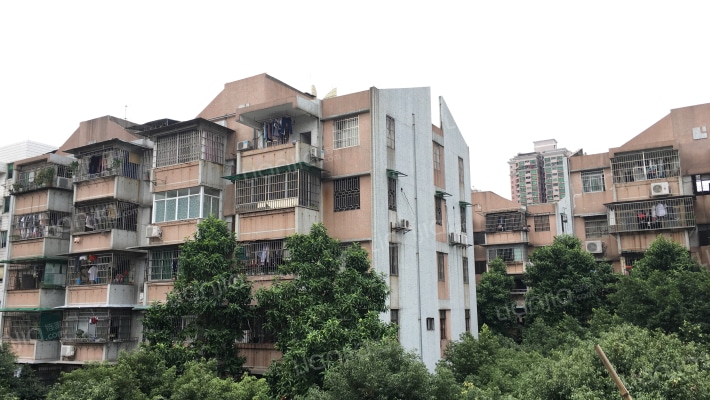 杏林小区外景图