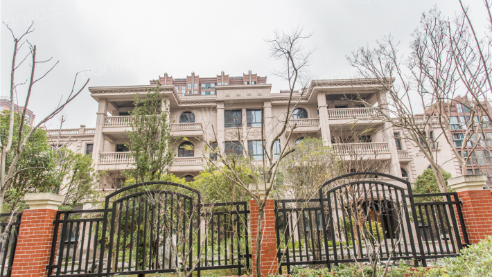 嘉禾至尊外景图