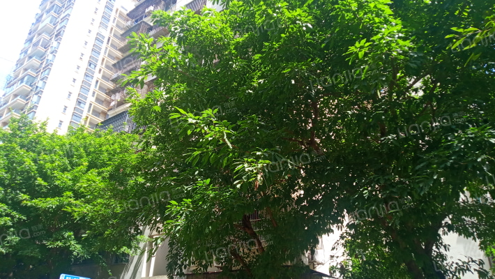 金贸小区外景图