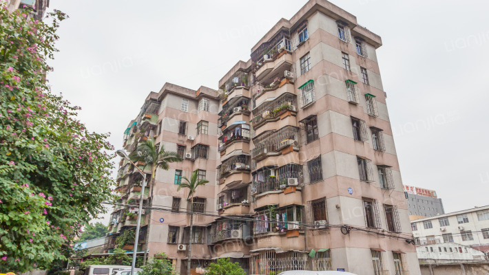 富丽家园桔芳园外景图