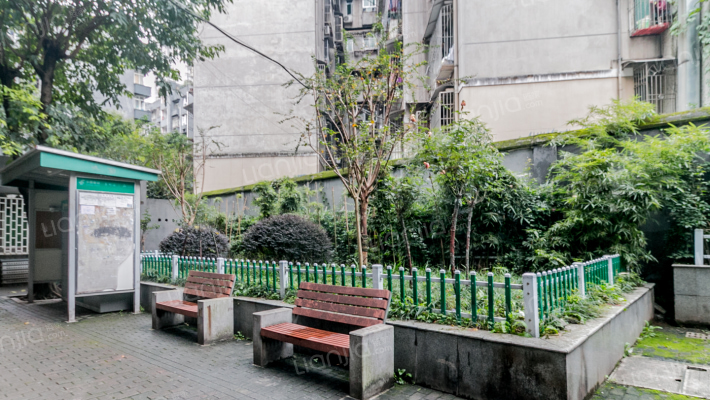 大坪正街166号外景图