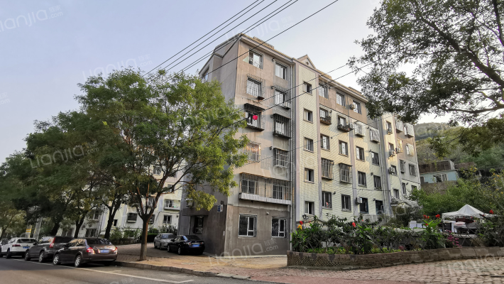 抱龙明珠一期外景图