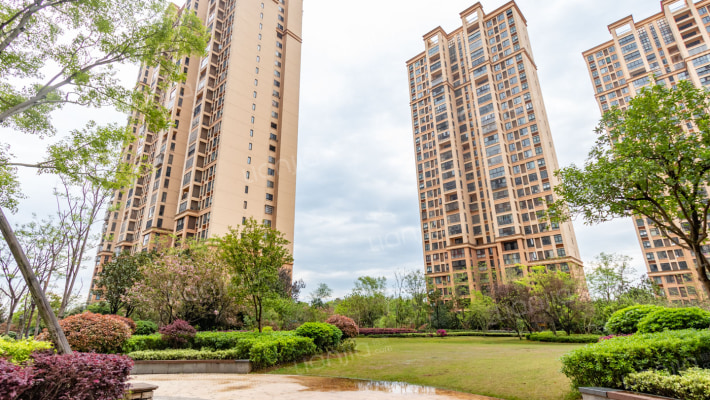 佳兆业君汇上品外景图