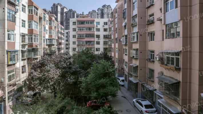 新园小区外景图