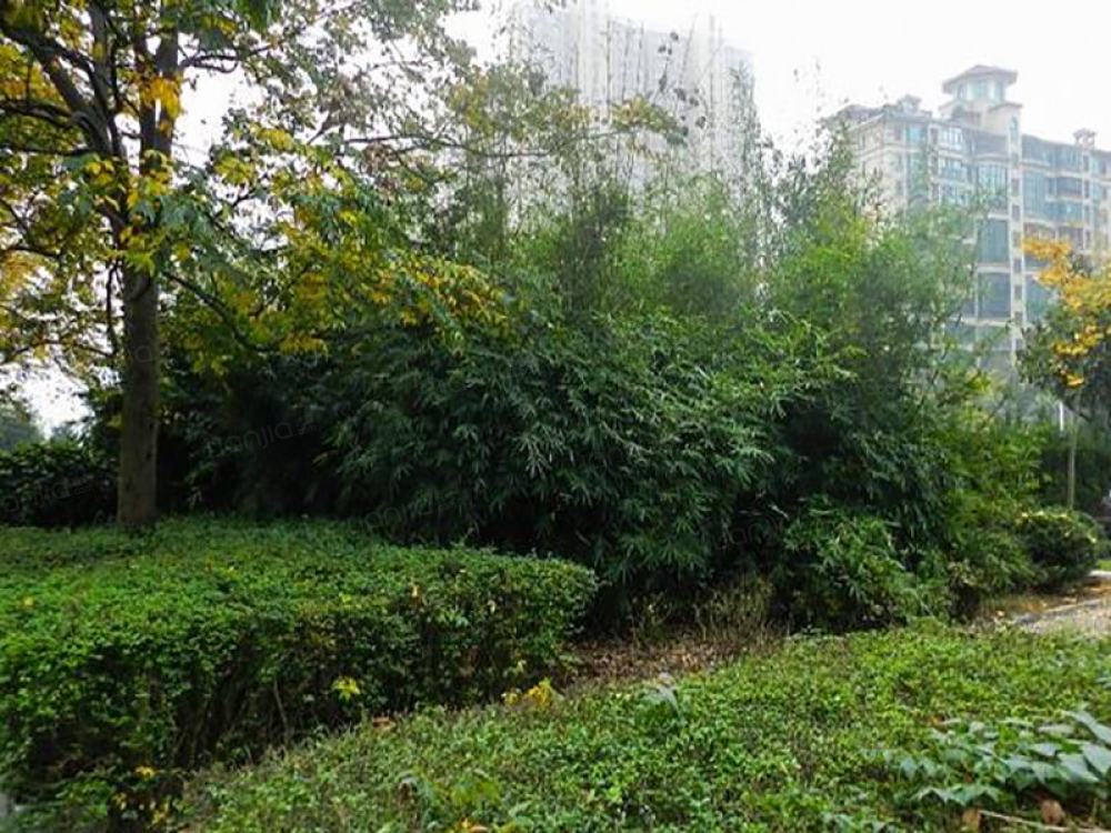 万象公园图片_万象公园实景图(长沙链家新房)