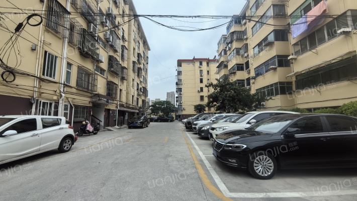 育红小区外景图