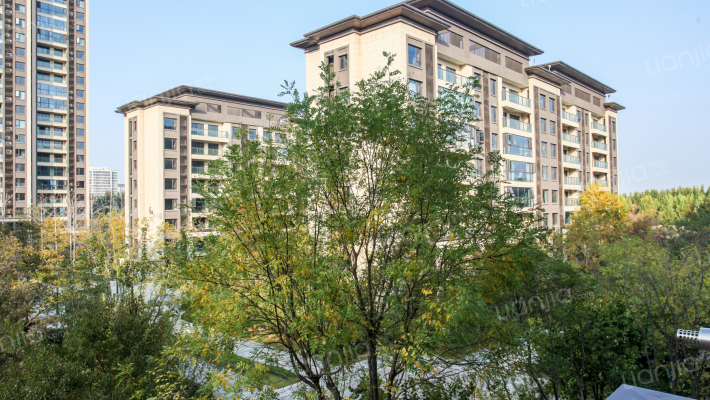 金科博翠书院小镇外景图