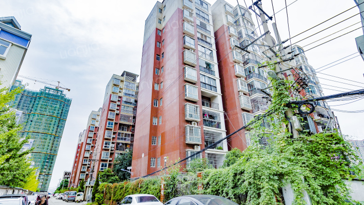 枫清泊静外景图