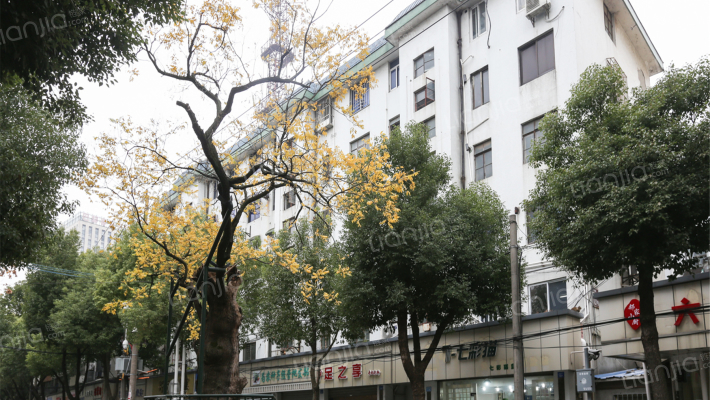 新阳街121号外景图