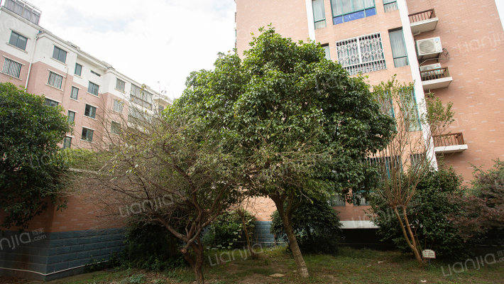 朝晖雅苑外景图