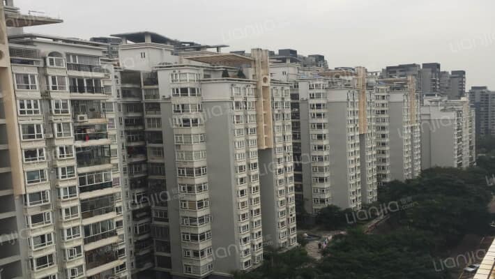 华南名宇外景图