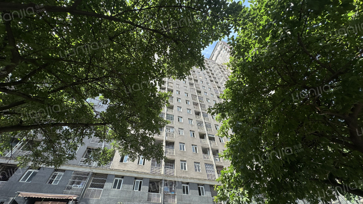 华西国际外景图