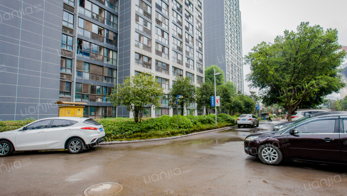 诚投天邻水岸外景图