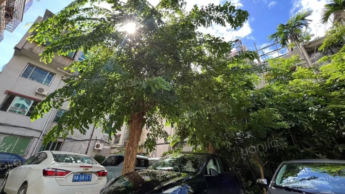 华山别墅小区外景图