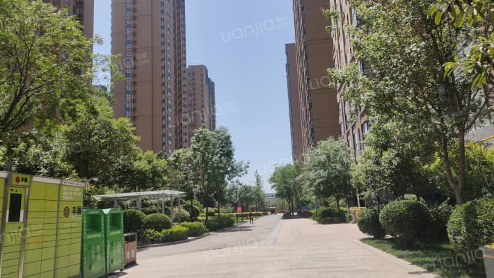 白桦林家愿外景图