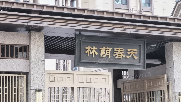 林荫春天三期外景图