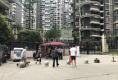 红树湾6
