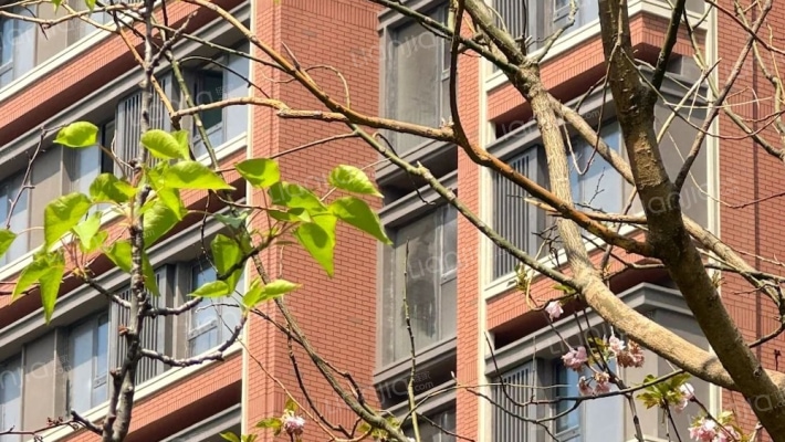 中建学府印悦二期外景图