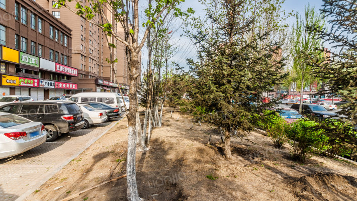 伊林公寓外景图