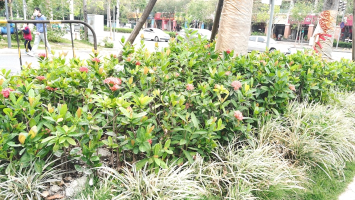 保华铂郡外景图