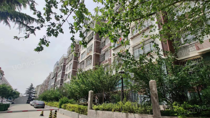 农业大学教工公寓东校林校回迁外景图