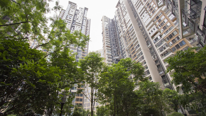 天合汇锦城外景图