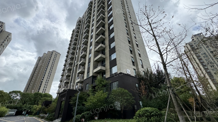 镜湖点金外景图