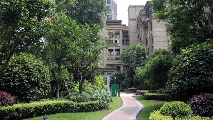 协信总部城外景图