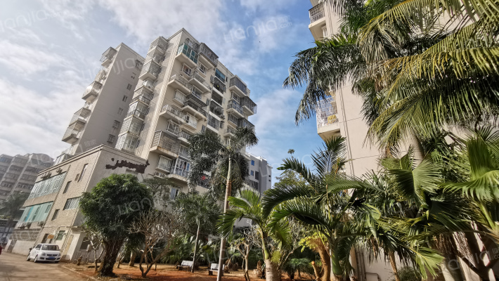 西港椰韵外景图