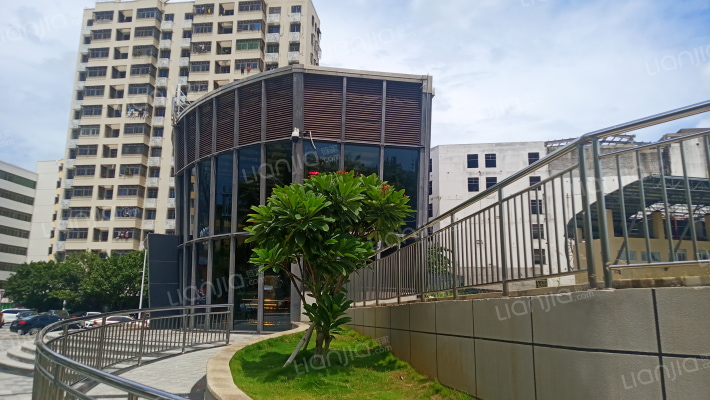 时尚椰树门外景图