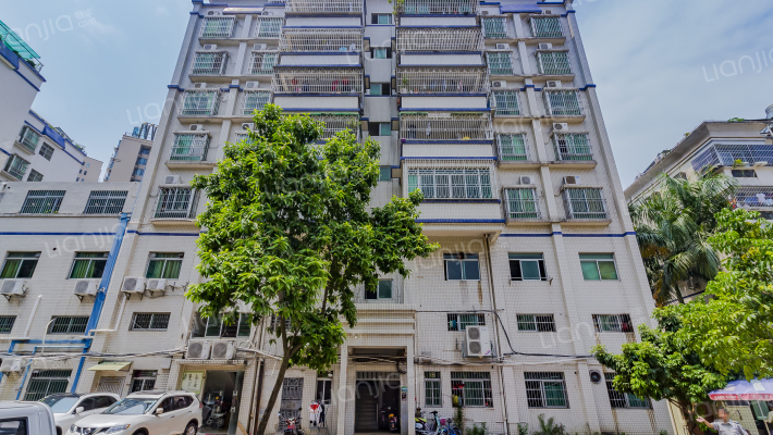 河南岸民兴花苑外景图