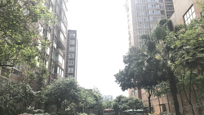 华阳花苑外景图