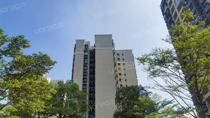 安华香蜜松湖外景图