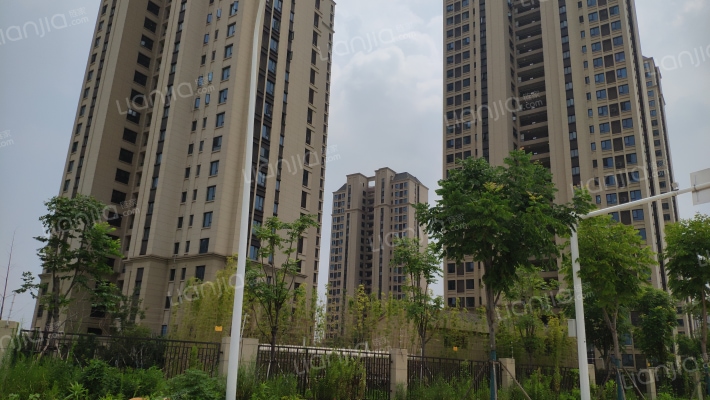 绿地城协子河畔C外景图