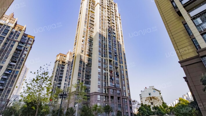 文一国际外景图