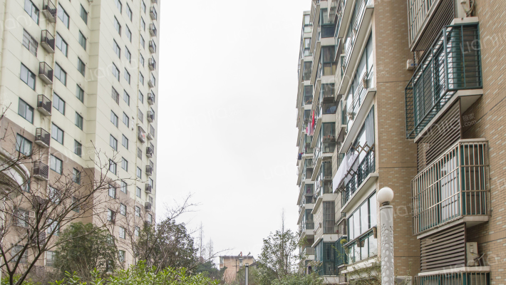 湖濱公馆外景图